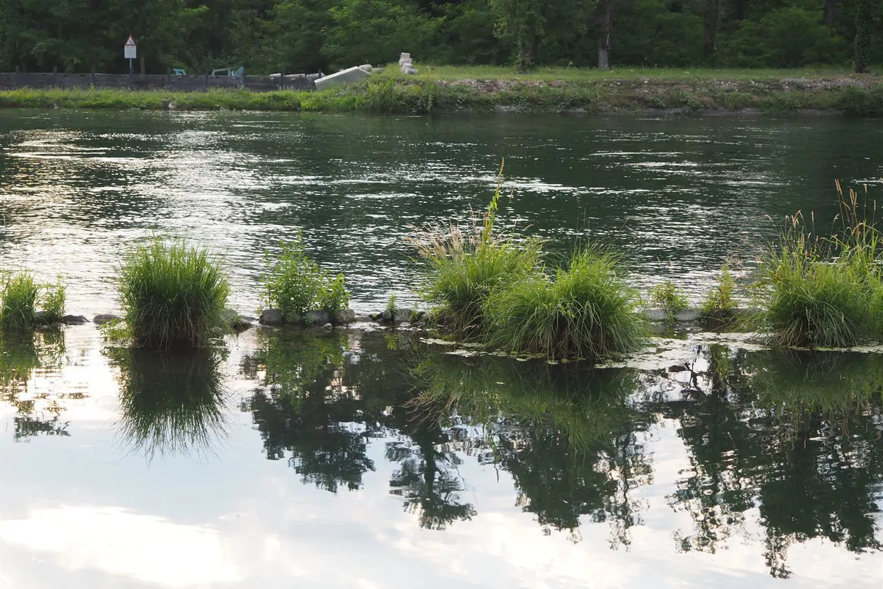 Il Ticino dentro il suo parco: il primo parco fluviale istituito in Italia